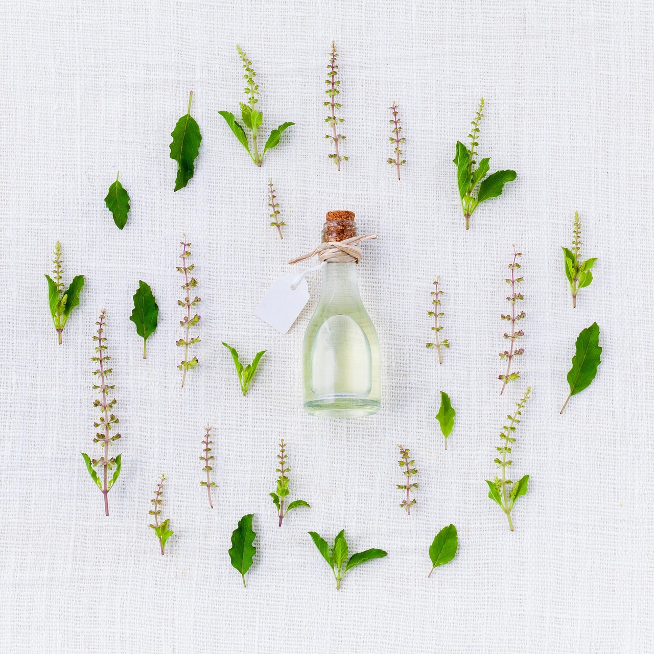 Black Pepper Essential Oil Properties: Notes, Chemistry, and Character