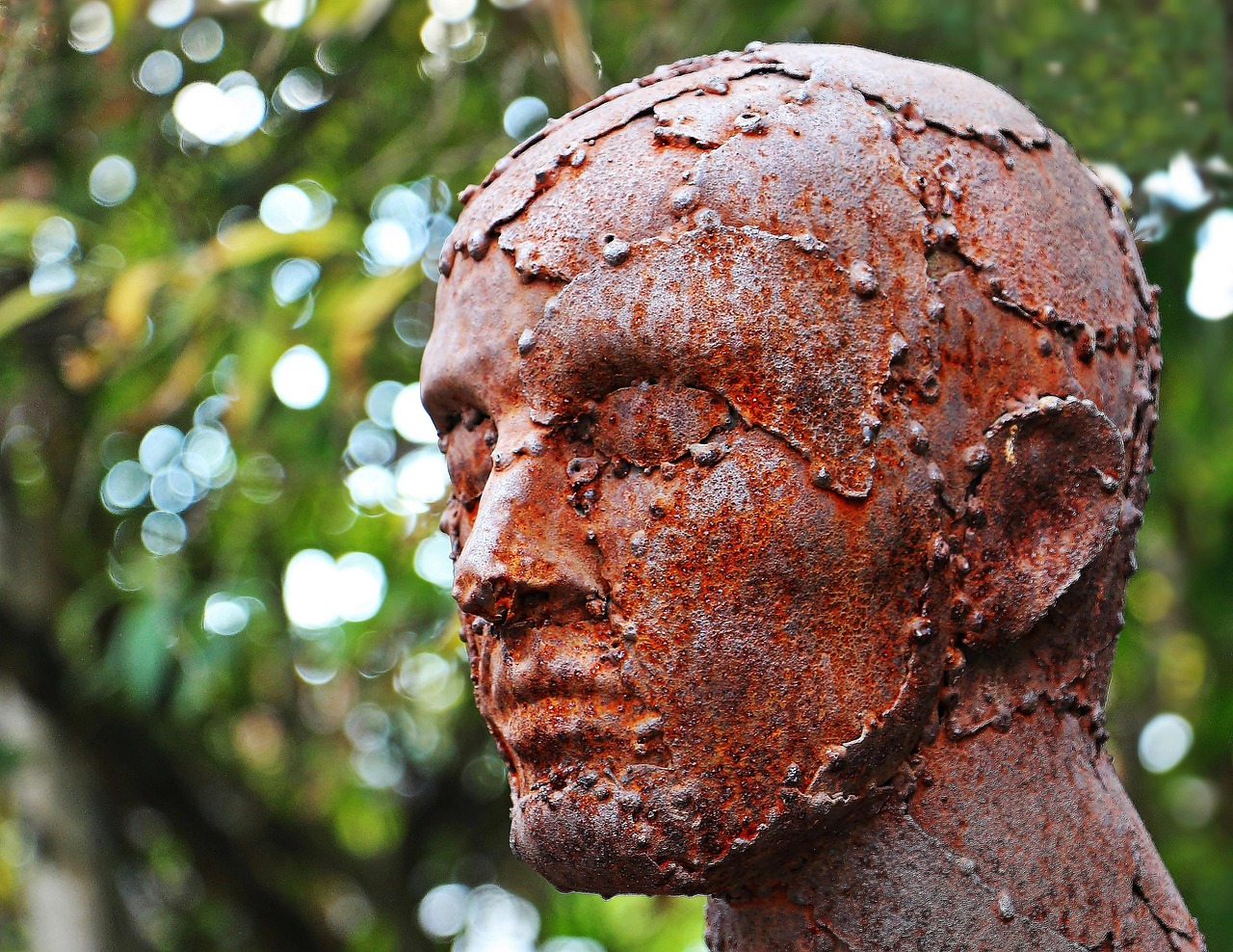 How Black Pepper Oil Is Made: From Sun-Dried Berries to Steam Distillation